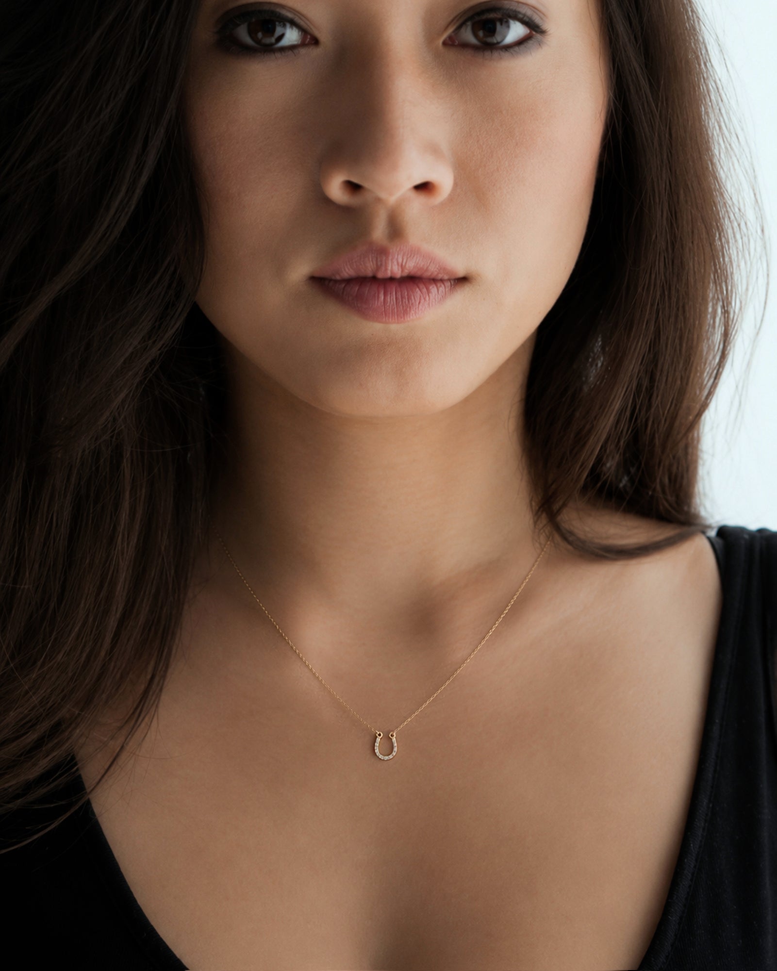 The Diamond Horseshoe Pendant/Necklace