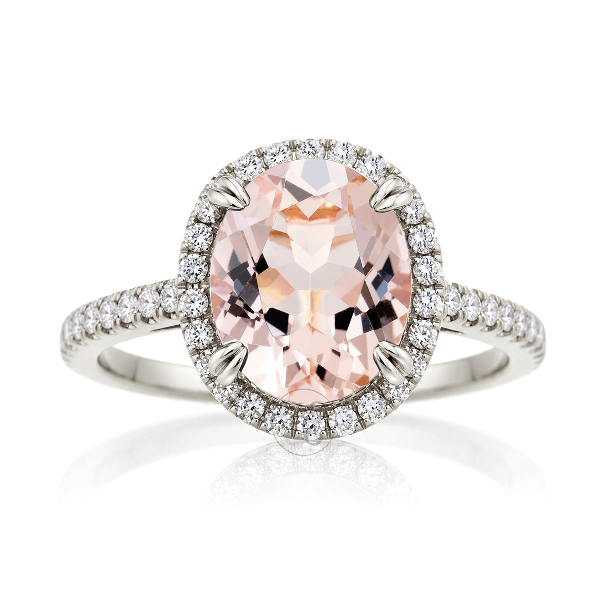 Oval morganite diamond halo ring in white gold with square band