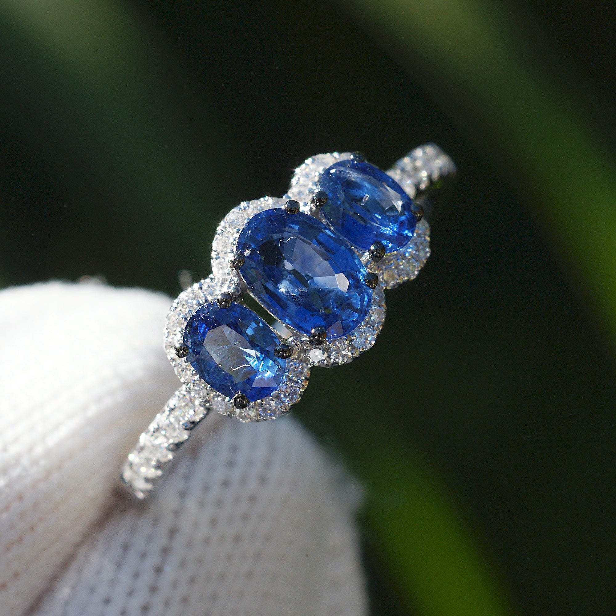The Pennie Oval Sapphire & Diamond Ring