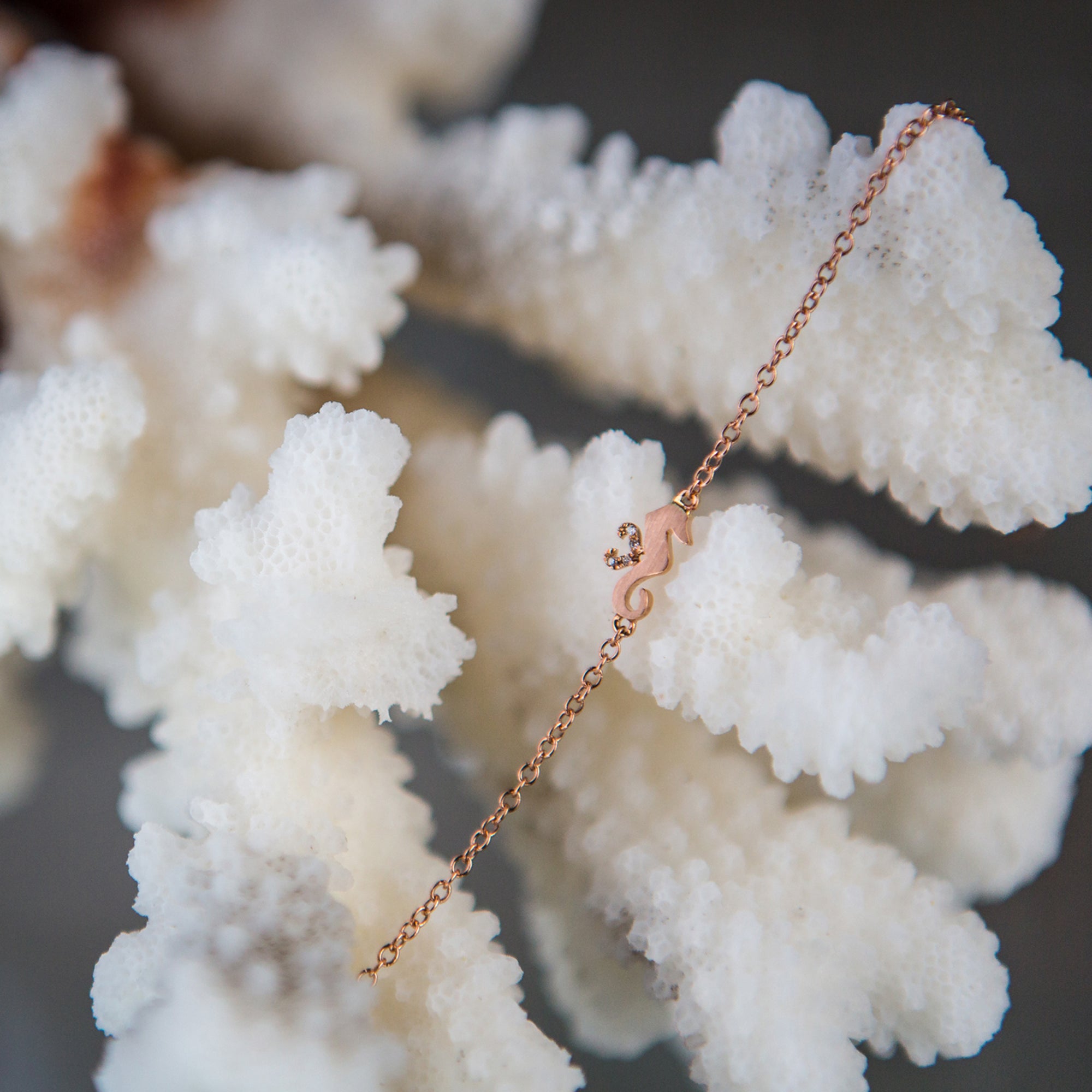 Tiny Seahorse Diamond Bracelet