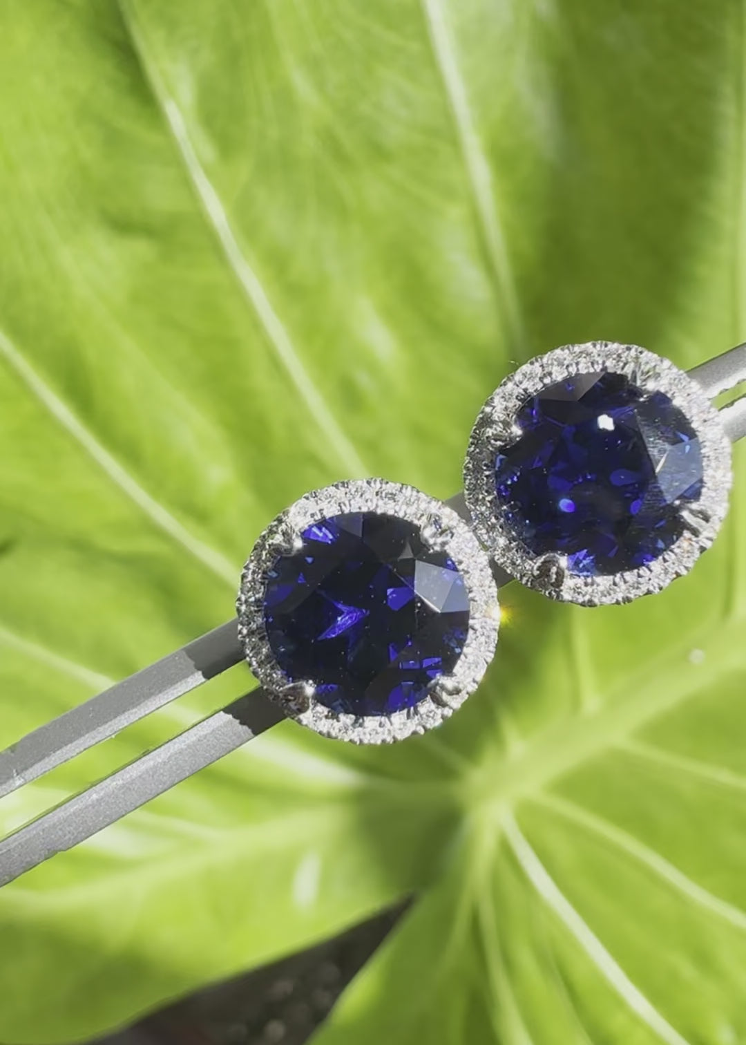 Round blue sapphire diamond halo stud earrings lab-grown