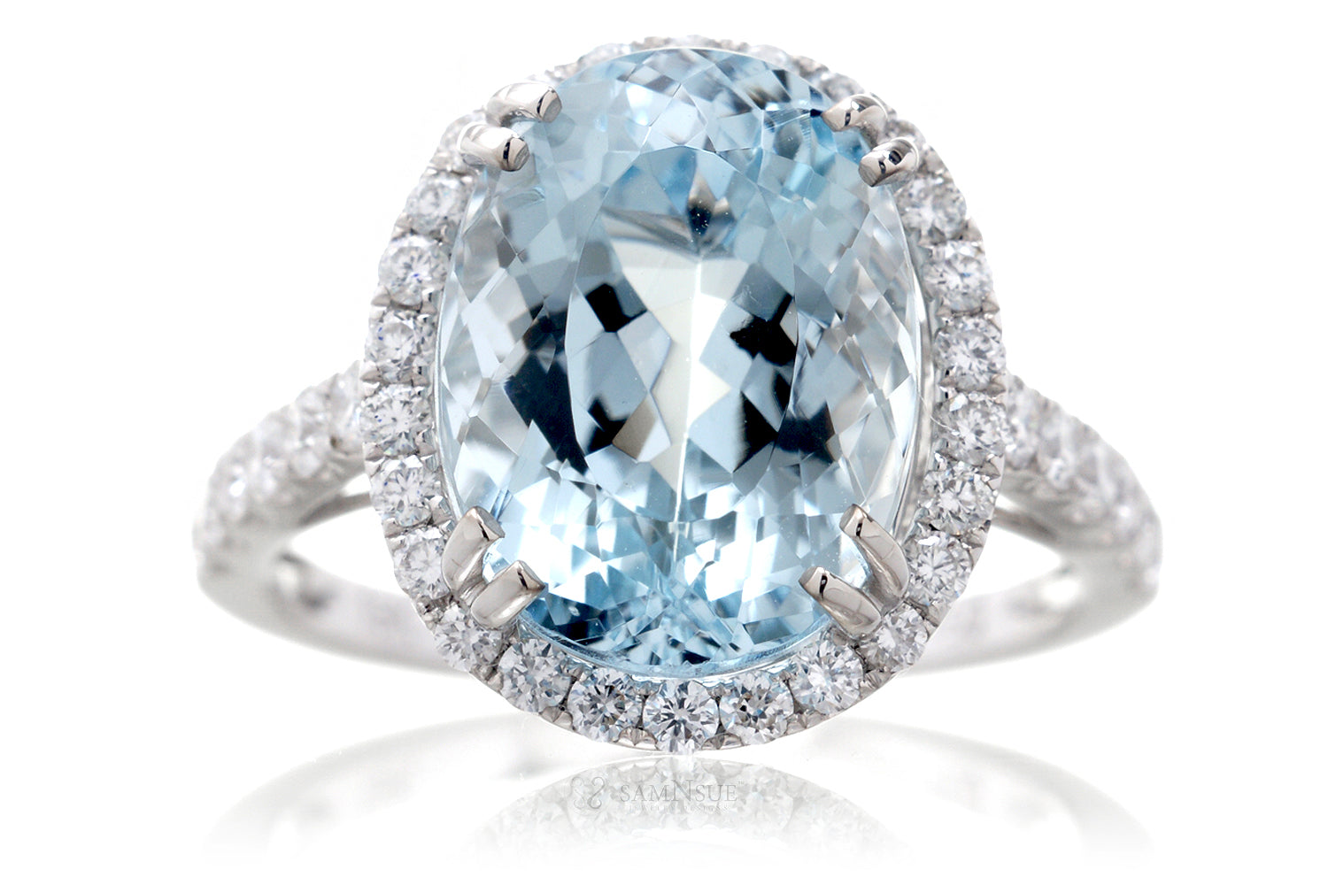The Charlotte Oval Aquamarine (12.5x9.3)